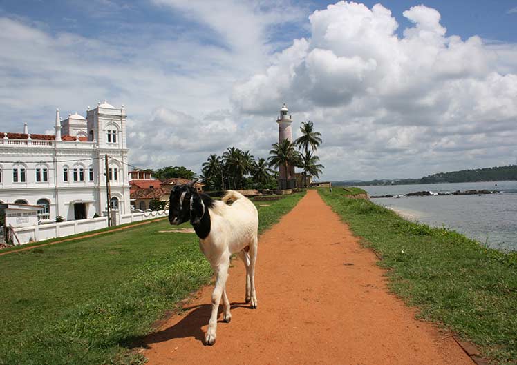 Sri Lanka | Galle