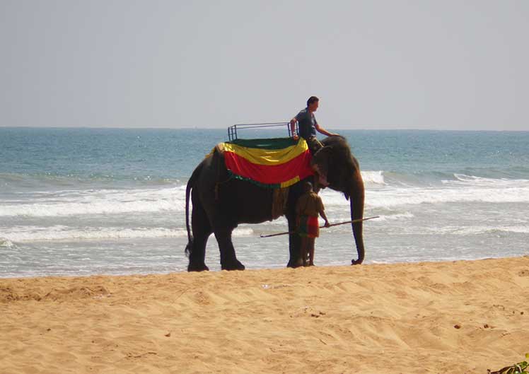 Sri Lanka | Bentota